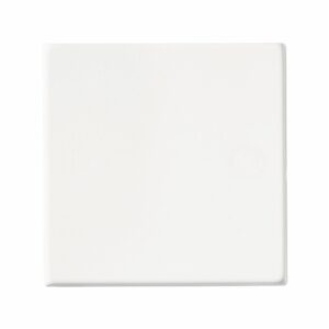 Single Blank Plate