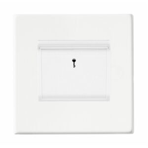 1 gang 10A (6AX) Card Switch On/Off with Blue LED Locator