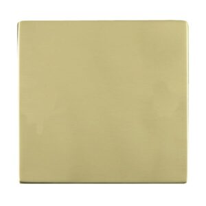 Single Blank Plate